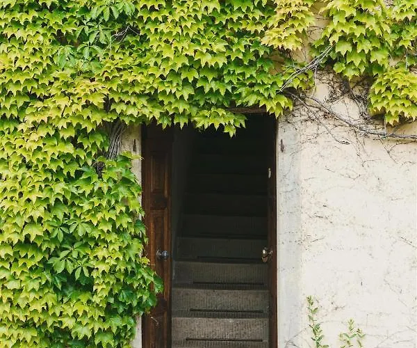 Podere Lupinati * Panzano in Chianti